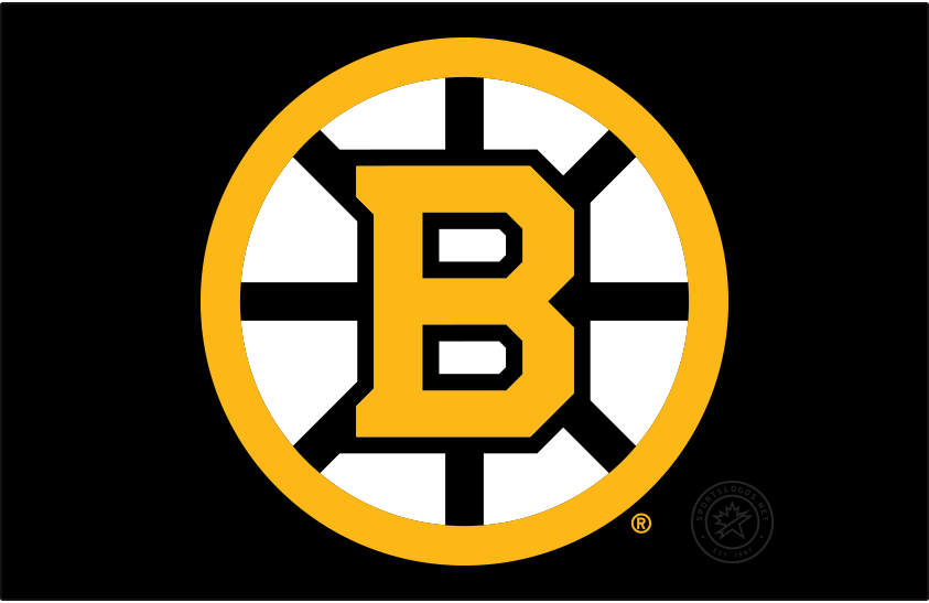 Boston Bruins 2024-Pres Primary Dark Logo v2 iron on heat transfer